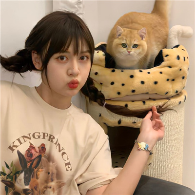 伊犁伴游女生星晓莉的资料